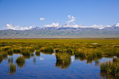 哔哩哔哩24小时观看免费:极限竞速地平线5驰骋墨西哥,开放世界竞速攻略全解析-4
