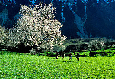 黄色app下载vivo：极限竞速街头传奇，vivo高画质驾驭攻略与进阶技巧全解析-2