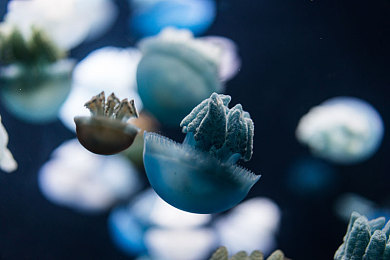 黄色软件APP下载免费：《极限街头赛车》今日上线，街头漂移新攻略助你免费改装顶级跑车-3