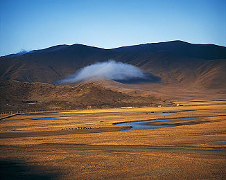 1069Gay：光谱都市竞速新作发布，彩虹赛道引爆个性改装风潮-2