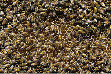 重磅泄密网爆黑料：《极限竞速地平线6》新玩法曝光，动态天气与跨平台改装引领竞速变革