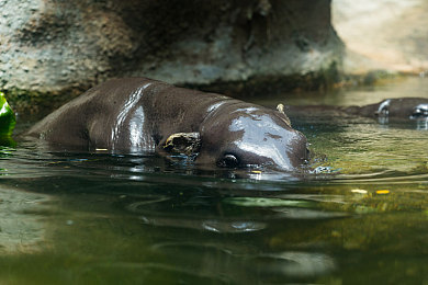 淫色站：霓虹城狂飙，在赛博边缘挑战速度与生存的极限-4
