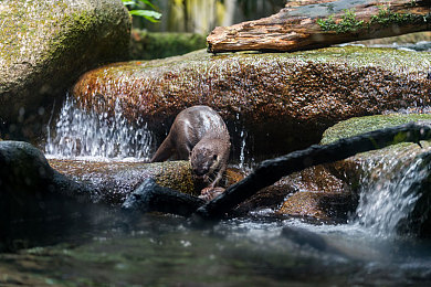 男搞女软件：赛车改装新纪元，性别转换驱动性能革命-2