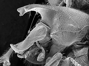 阿娇与冠希最猛的一次：霓虹城双星雨夜狂飙，宿命对决引爆终极合作竞速-1