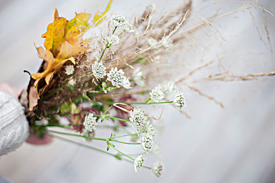 机机和机机手机免费下载大全：极速狂飙，掌中机械与竞速的无限可能-3
