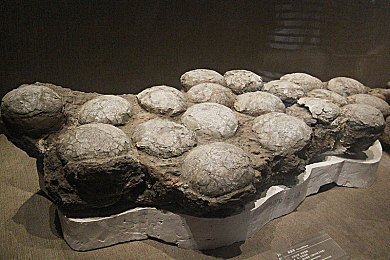 挠尿孔：在失控的刀锋上，与机械共舞的触觉诗篇