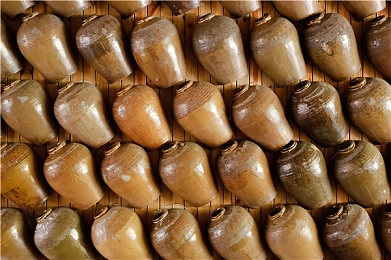 马犬几个月认主人？错过这 3 个关键期,可能影响它一生的信任：《荒野纪元》新版本上线，独家揭秘虚拟伙伴终身忠诚养成全阶段-1