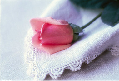 亚洲日韩一区二：东京湾岸极速对决，全新街头赛车文化深度解析今日上线-4