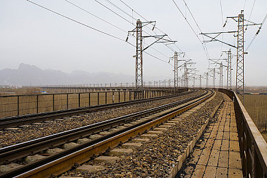 用羽毛划乳头瘙痒藤蔓挠痒痒:丛林冒险新作上线,独特触感解谜引爆玩家好奇心-1