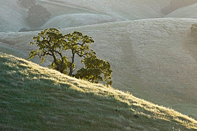 天天射天天：竞速射击新作极速射手上线，动态赛道挑战极致精准操作-2