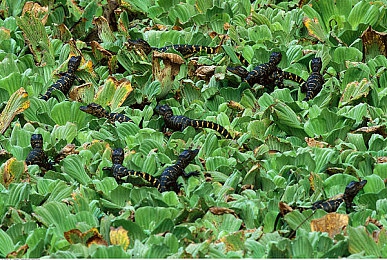 男生互摸秘 jiji秘 网站:经典重温,极品飞车地下狂飙深度改装系统解析,再现街头竞速黄金时代-2