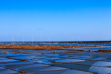 打扑克做运动：策略卡牌驱动极速狂飙，赛道智谋决胜风驰电掣-4