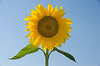 男生和女生做爱应用：双人协同驾驶模拟器，极速情缘，默契考验之旅-3