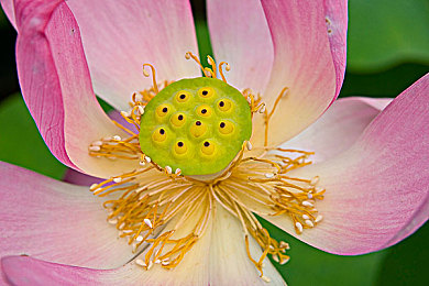 下载3.0.3每天无限免费:《极限街头》新版发布,无限资源畅玩街头竞速-4