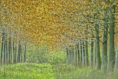 机机对机手机免费下载大全最新版安卓手：极速狂飙机甲车神新版上线，免费竞速对战攻略全解析-2