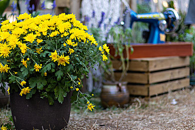 真人在床上萝卜：意识驾驶新游上线，用呼吸与心跳解锁竞速新维度-4