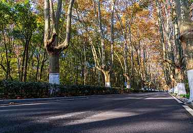 一次去巴厘岛按摩的经验作文：独立游戏新作颠覆传统，竞速与疗愈双循环模式今日正式上线-2