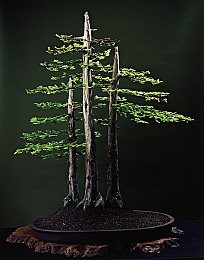 操bapp:深夜街头竞速新作发布,硬核改装与霓虹雨夜挑战你的驾驶极限-4