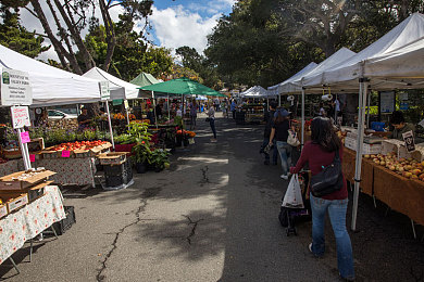 男生坤坤塞入女生坤坤:双核驱动,合体冲刺,极速赛车搭档的终极协同攻略-3