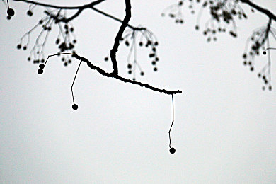 福利一区二区三区四区艹:征服全地图驾驶盛宴,极限竞速地平线分区攻略与乐趣解析-3