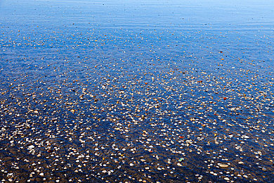 欧美日韩亚州一区二区：全球汽车文化巡礼，虚拟赛道上的多元竞速世界-2