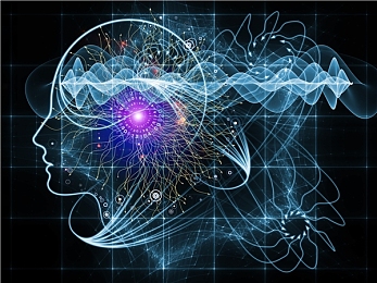 大陆一区二区：竞速双面，硬核与创意的赛道哲学-2