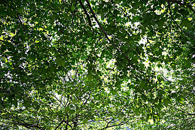 天天射天天干天天舔：竞速射击新作极速猎手获特别好评，深度解析硬核战斗与资源循环系统-3