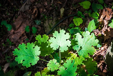 国精产品一区一区三区mba·：竞速经营新作今日上线，融合赛车快感与商业战略-4