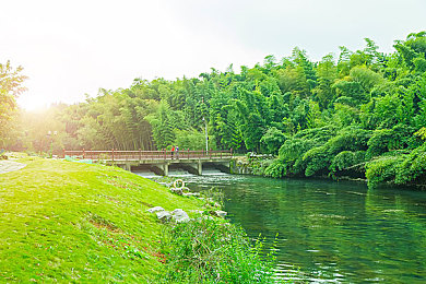 91暴料：揭秘赛车游戏隐藏法则，掌握这些技巧让你领先一个弯道-3