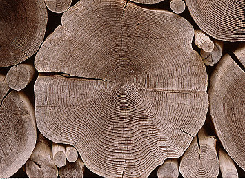 9色PORNY丨首页 入口：霓虹飞驰，九色迷城中的多维赛道竞速-4