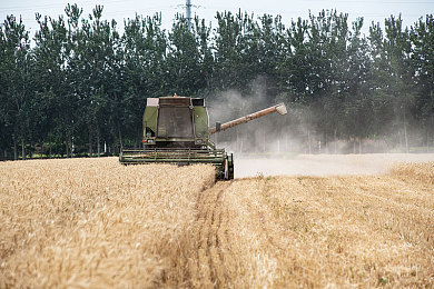 西方37大但尺寸艺术图片:像素引擎,黄金时代的经典车廊巡礼-3