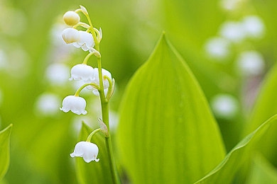 男女生差差差app：虚拟赛车新纪元，性别策略定胜负-2