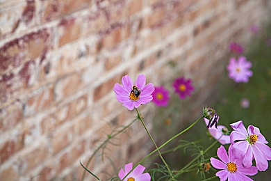 黄色软件3.30破解版：经典赛车游戏全解锁版本深度体验，隐藏赛道与调校秘籍全解析-4
