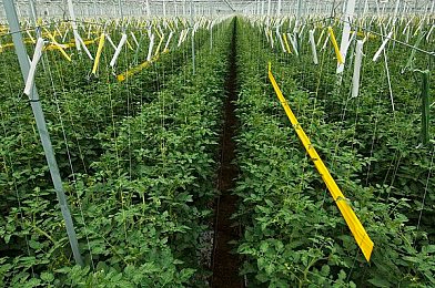 深夜b站必看的3000部纪录片：车库史诗，像素重构的速度文明编年史