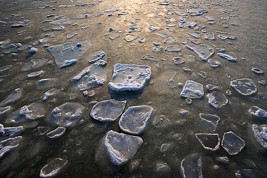 火影h18：疾风赛道，结印驱动，体验未来忍者竞速传奇-2