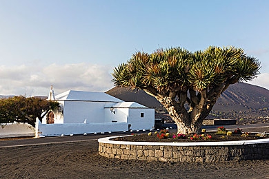黄色污秽软件下载:警惕模组捆绑恶意程序,赛车游戏改装暗藏风险需谨慎-2