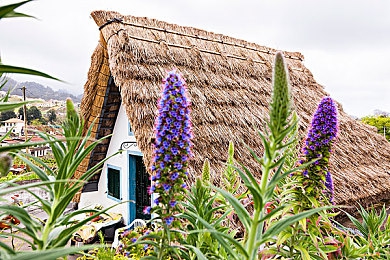 狼人综干:竞速与谎言交织,全新社交推理赛车游戏今日引爆狂飙盛宴-3