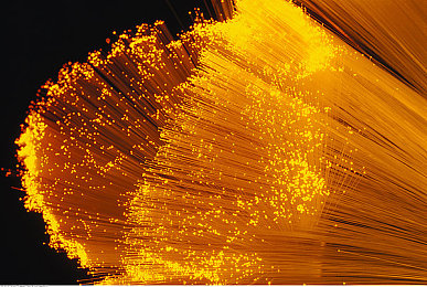 汤姆影院：霓虹胶片，极速幕光中的午夜轮舞-1