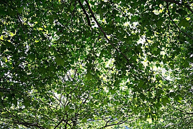 亚洲毛绒绒的性：萌系赛车手登场，幻想赛道上的毛绒竞速新体验-3