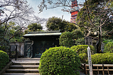 18禁止下载:《极限狂飙:地下风云》硬核驾驶体验获赞,争议内容可独立选择-3