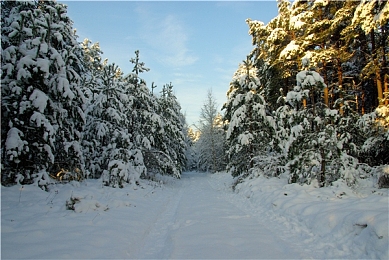 羽毛球叶钊颕现状：传奇选手化身数字角色，全新羽球竞技游戏今日正式上线-2