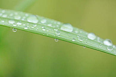 殴美男同性恋：竞速与羁绊交织，近未来都市中的速度情感之旅-2