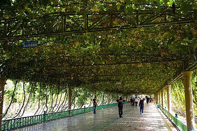 网曝黑料国产吃瓜：极速狂飙国产赛车风云，争议之下体验竞速魅力与改装乐趣-2