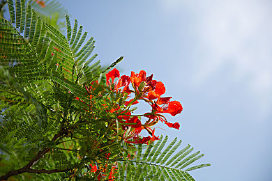 男生女生一起差差差差差app:双人共驾革新竞速体验,差异协作引爆游戏新潮流-3