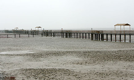 在床上打扑克动漫又疼又叫：梦境对决痛觉链接，卡牌策略与情感叙事的沉浸交响-4