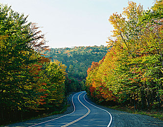 福利app导航 国产：中国速度闪耀虚拟赛道，地平线国产座驾驾驶全攻略上线-2