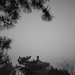 十大禁看软件下载:飙酷车神极限封锁,公平竞速攻略与改装技巧全解析-2