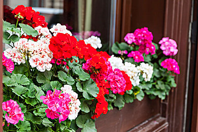 按摩师揉我奶头和花蒂:指尖韵律,疗愈秘境,触感解压大师-4