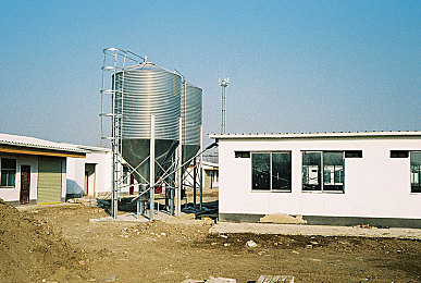 台湾AV网站：极速狂飙，都市与山道的真实竞速盛宴-2