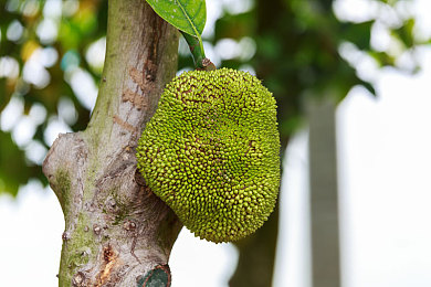 无翼乌邪恶：当赛道化为梦魇，在迷雾都市中追寻逃离的微光-3
